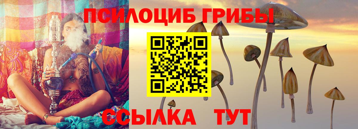 Тихорецк  Галлюциногенные грибы мицелий  Вход с VPN 